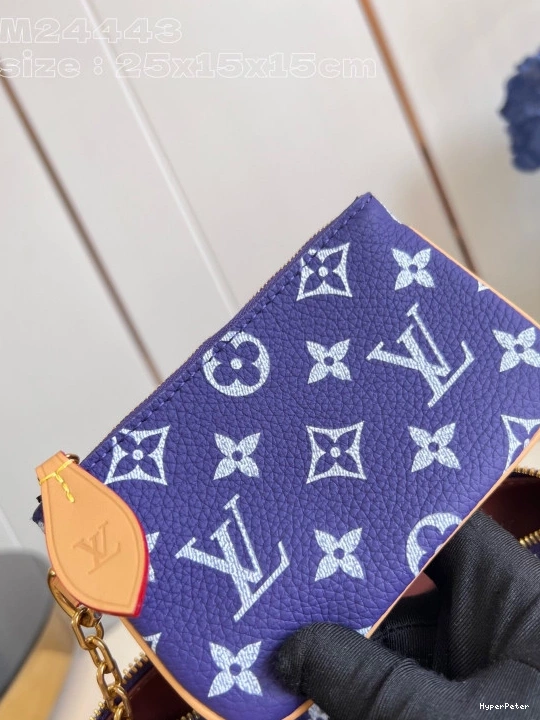 25 Louis SPEEDY Vuitton 0806